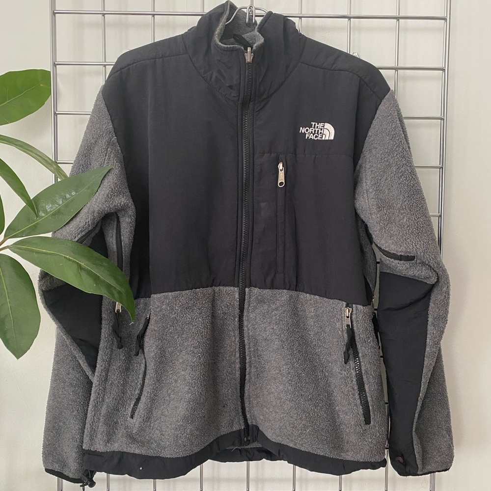 The North Face polarctec jacket